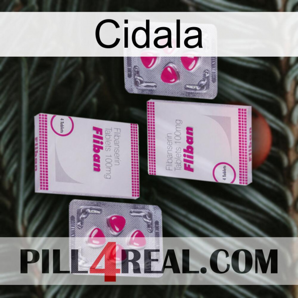 Cidala 33.jpg